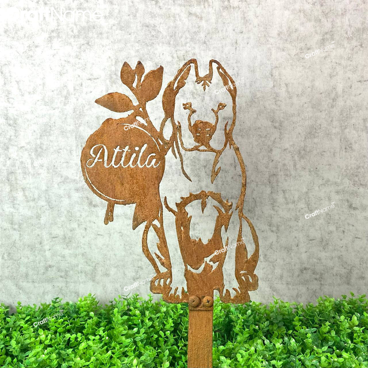 Personalized Dogo Argentino Dog Rusty Metal Plaque With Stake