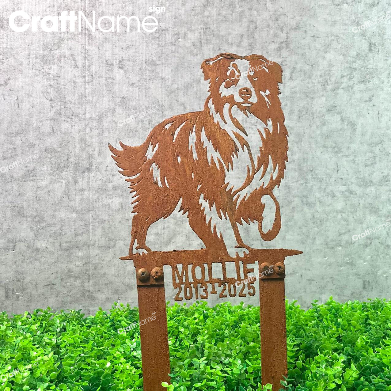 Personalized Australian Shepherd Dog Metal Rusty Stake - Image 3